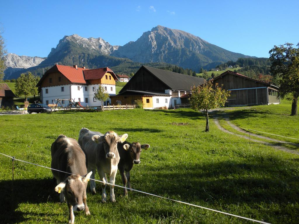 스피탈 암 피른 Bio-Urlaubshof Dansbach 빌라 외부 사진
