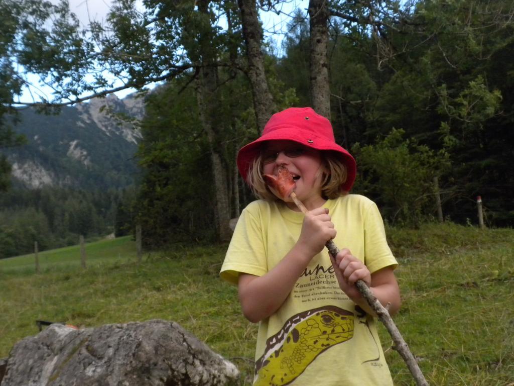 스피탈 암 피른 Bio-Urlaubshof Dansbach 빌라 외부 사진